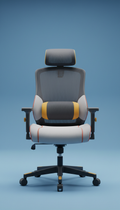 Ergonomic Chair with Memory Foam